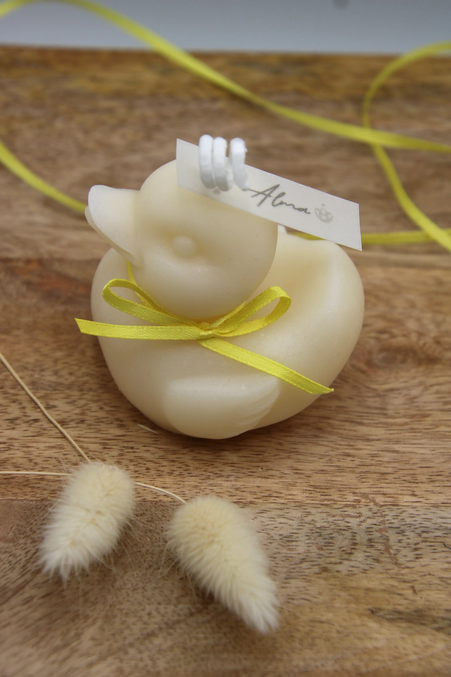 Duck Ivory Top