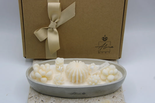 Garden_Of_Succulents_Gift_Box_Close