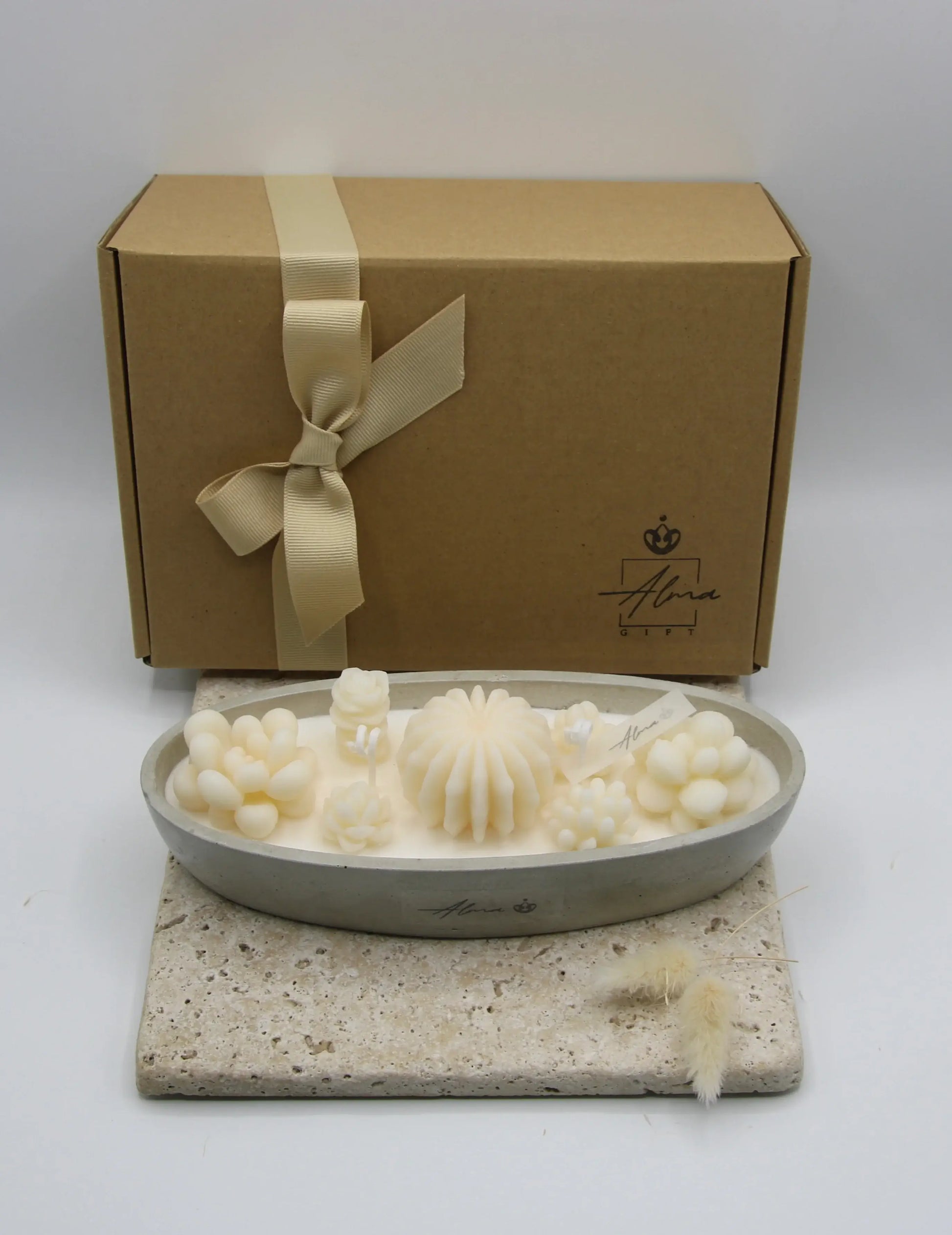 Garden_Of_Succulents_Gift_Box_Total