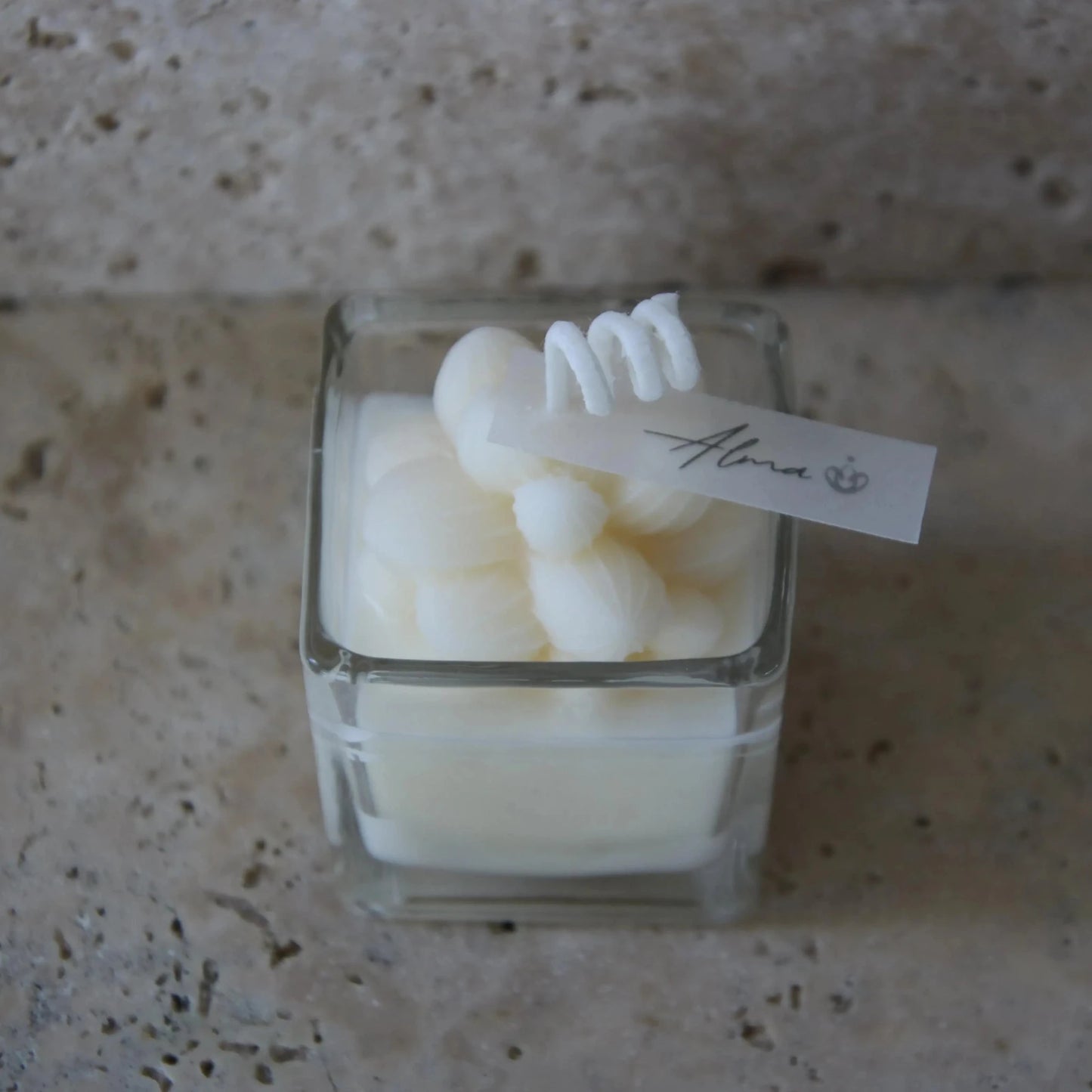 Mini Succulent In Square Ahava Candle