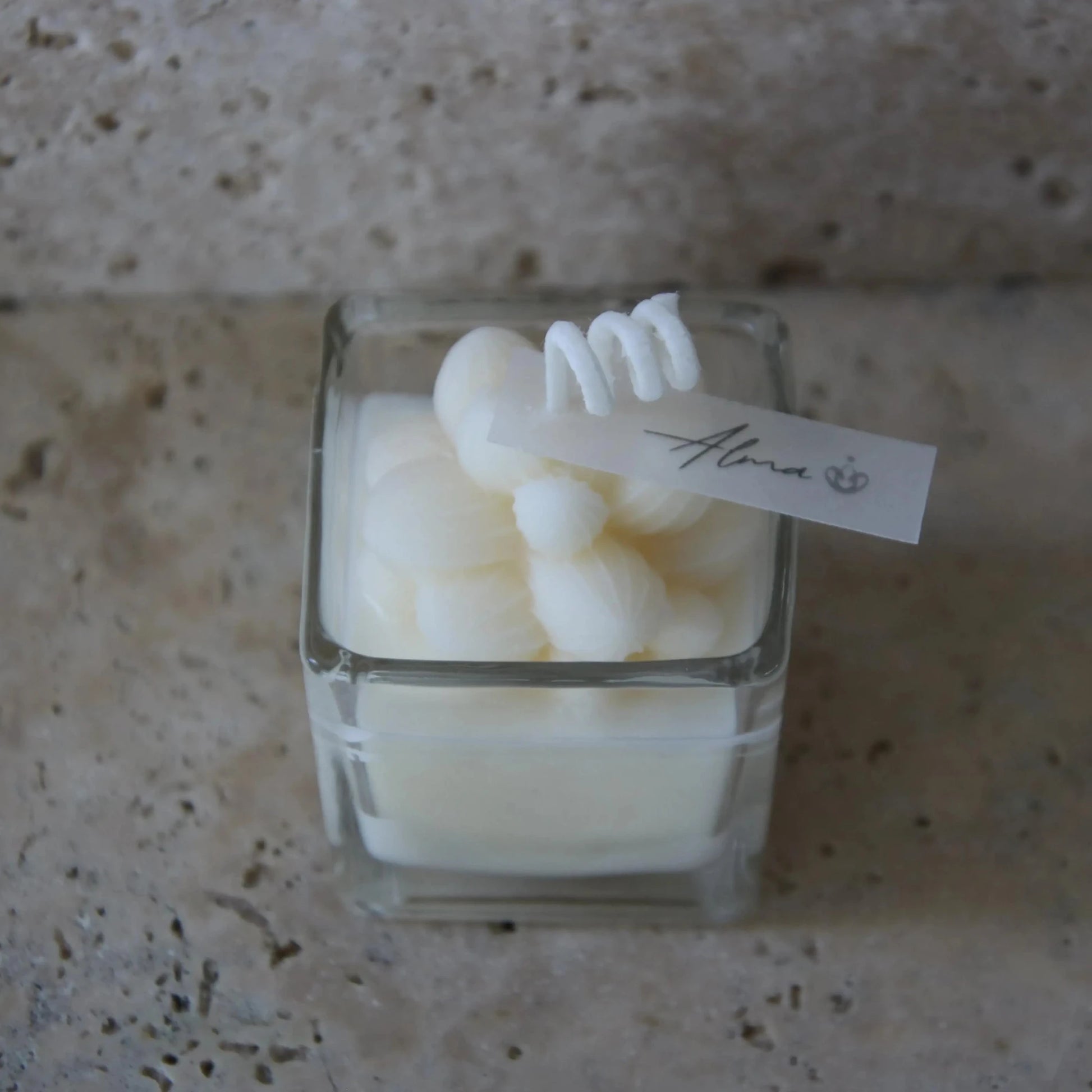 Mini Succulent In Square Ahava Candle