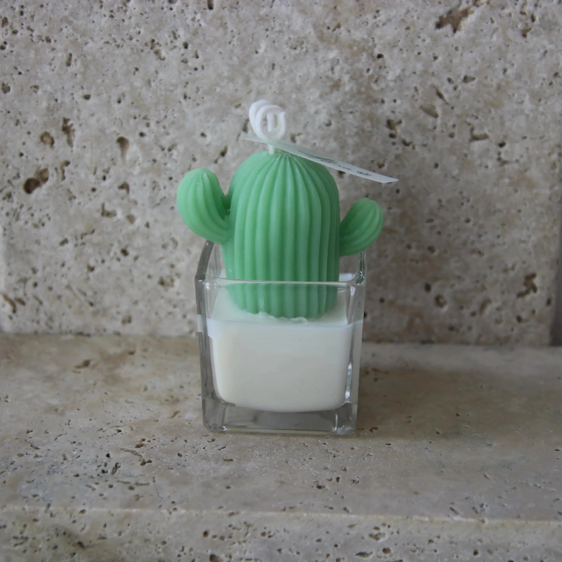 Mini Succulent In Square Cactus Candle
