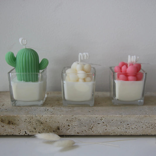 Mini Succulents In Square Candle