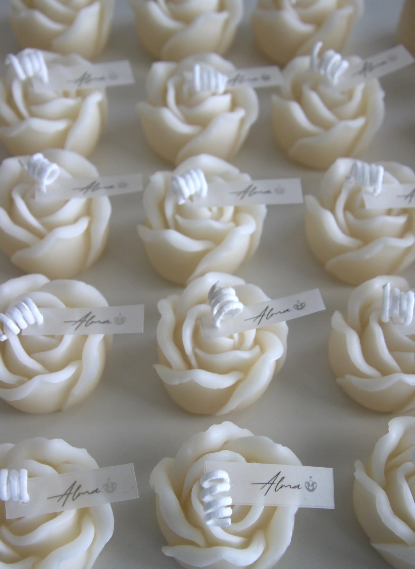 Rose bulk 2