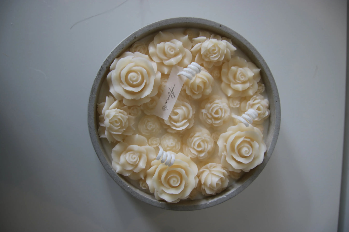 Spring_Flowers_Up