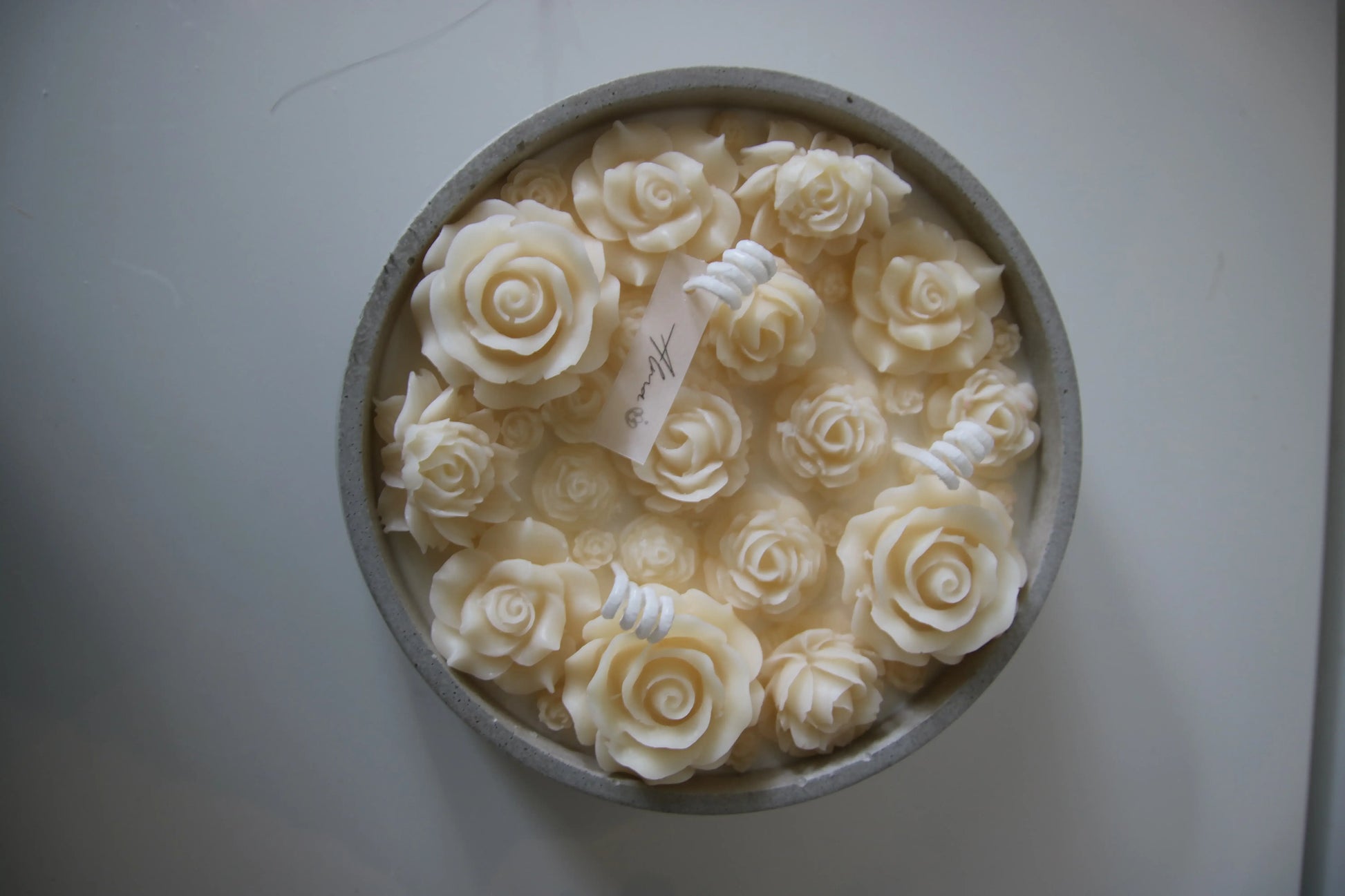 Spring_Flowers_Up