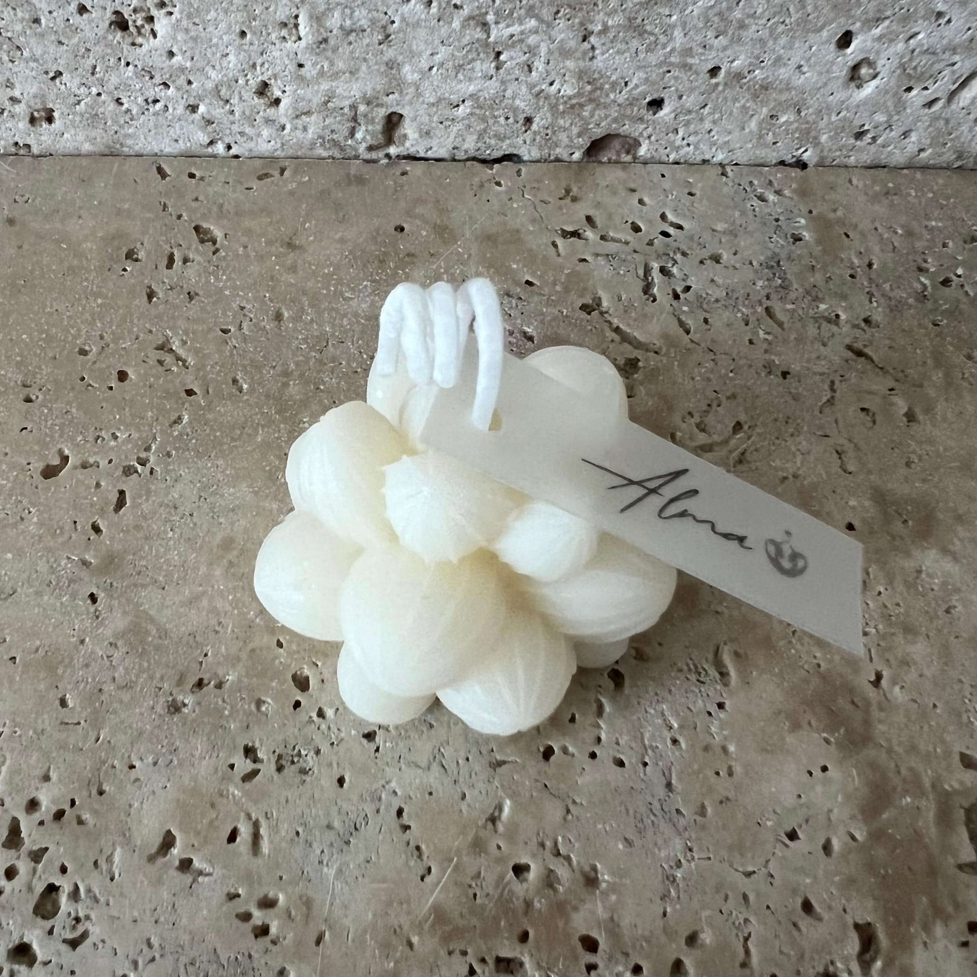 Succulent Ahava Candle