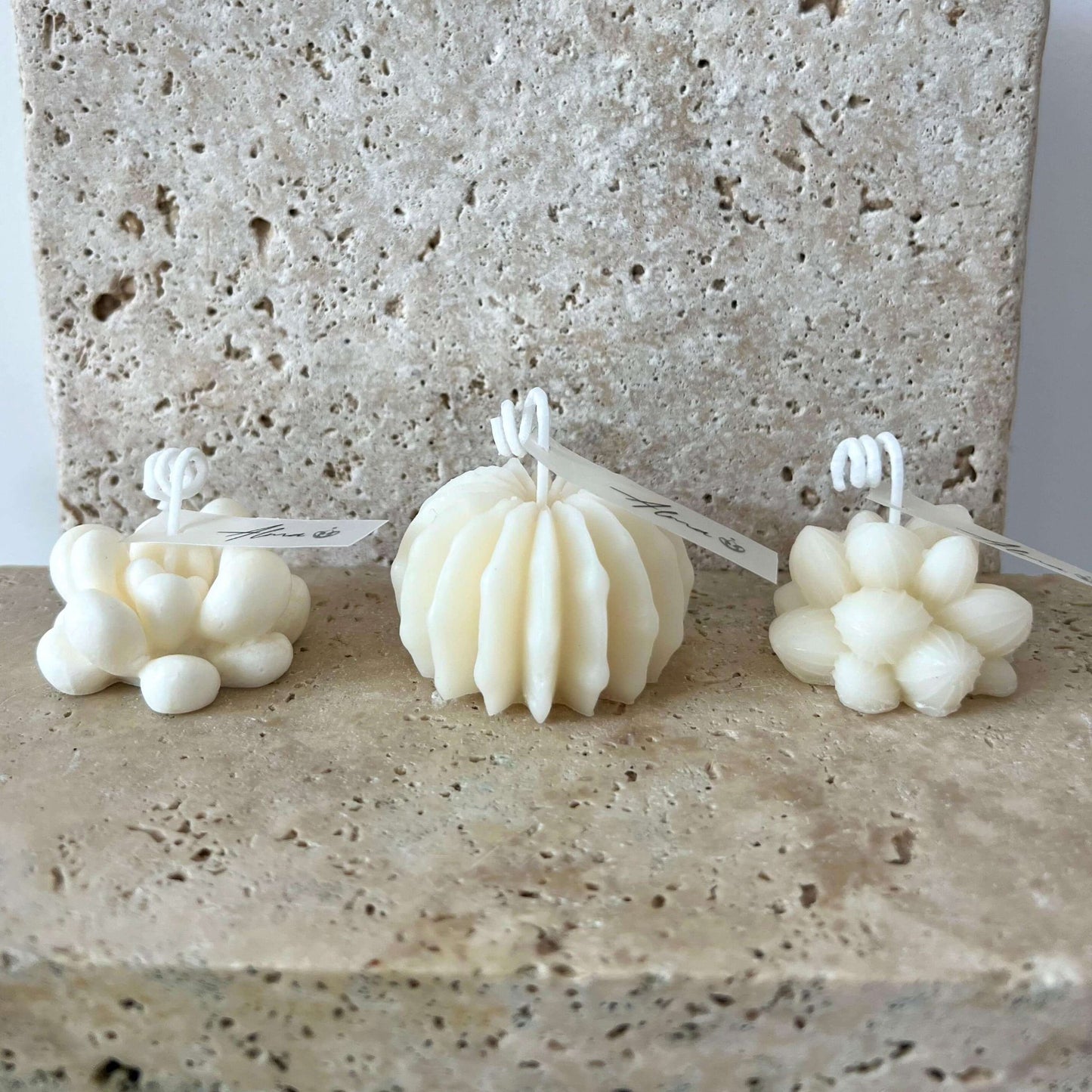 Succulents Candle All