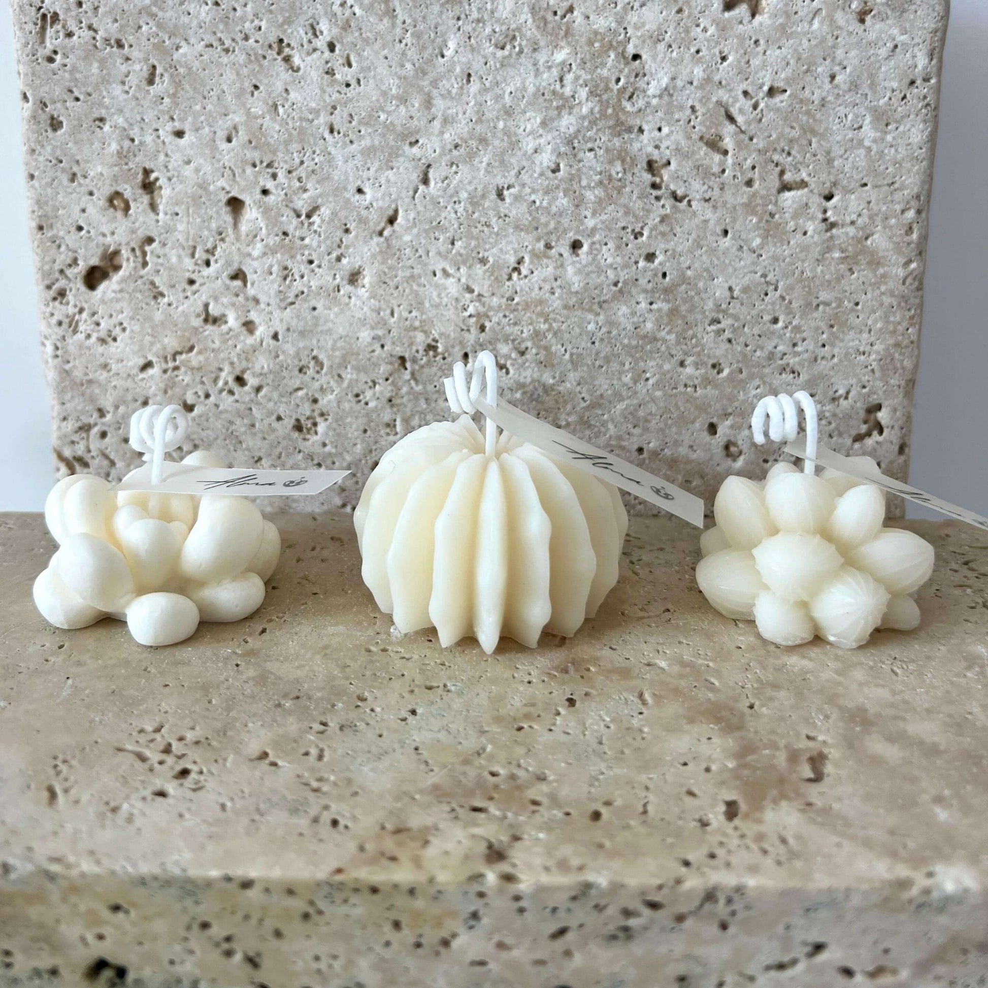 Succulents Candle All