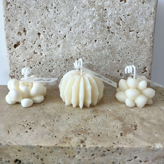 Succulents Candle All