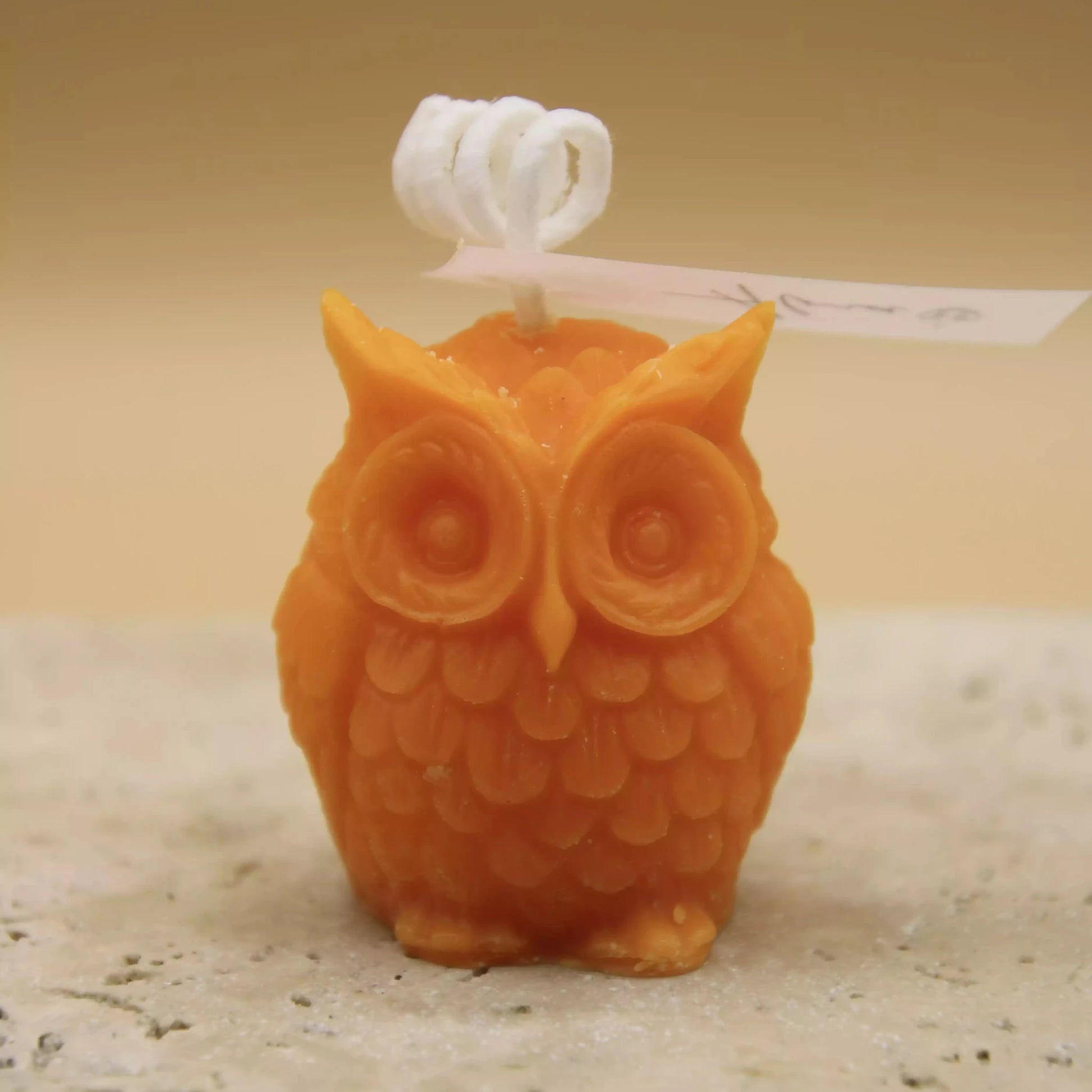 Tiny Owl Orange