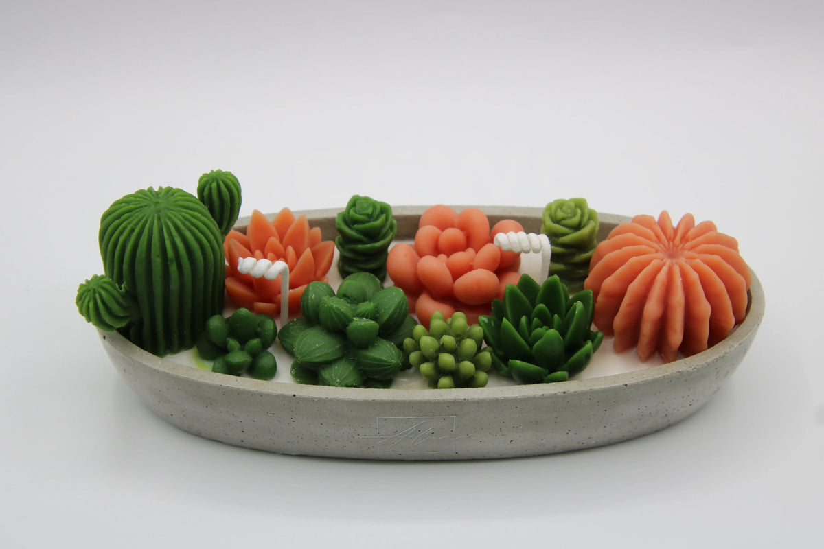 succulent candle arrangement in concrete base decorative handmade candle for modern home decor colored