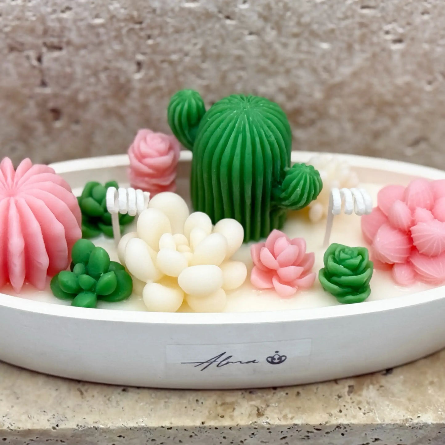 Garden of Succulents – Special Edition