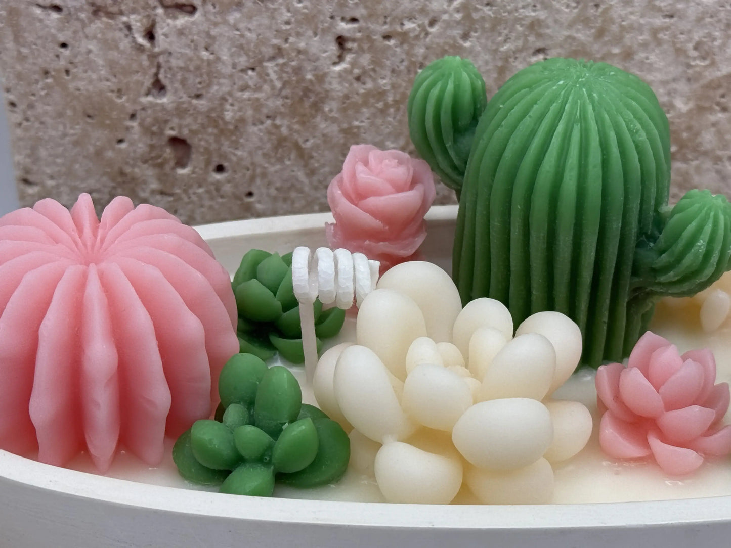 Garden of Succulents – Special Edition