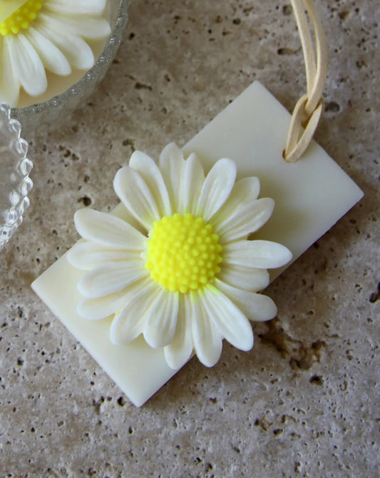 Daisy Cute Gift Box Single