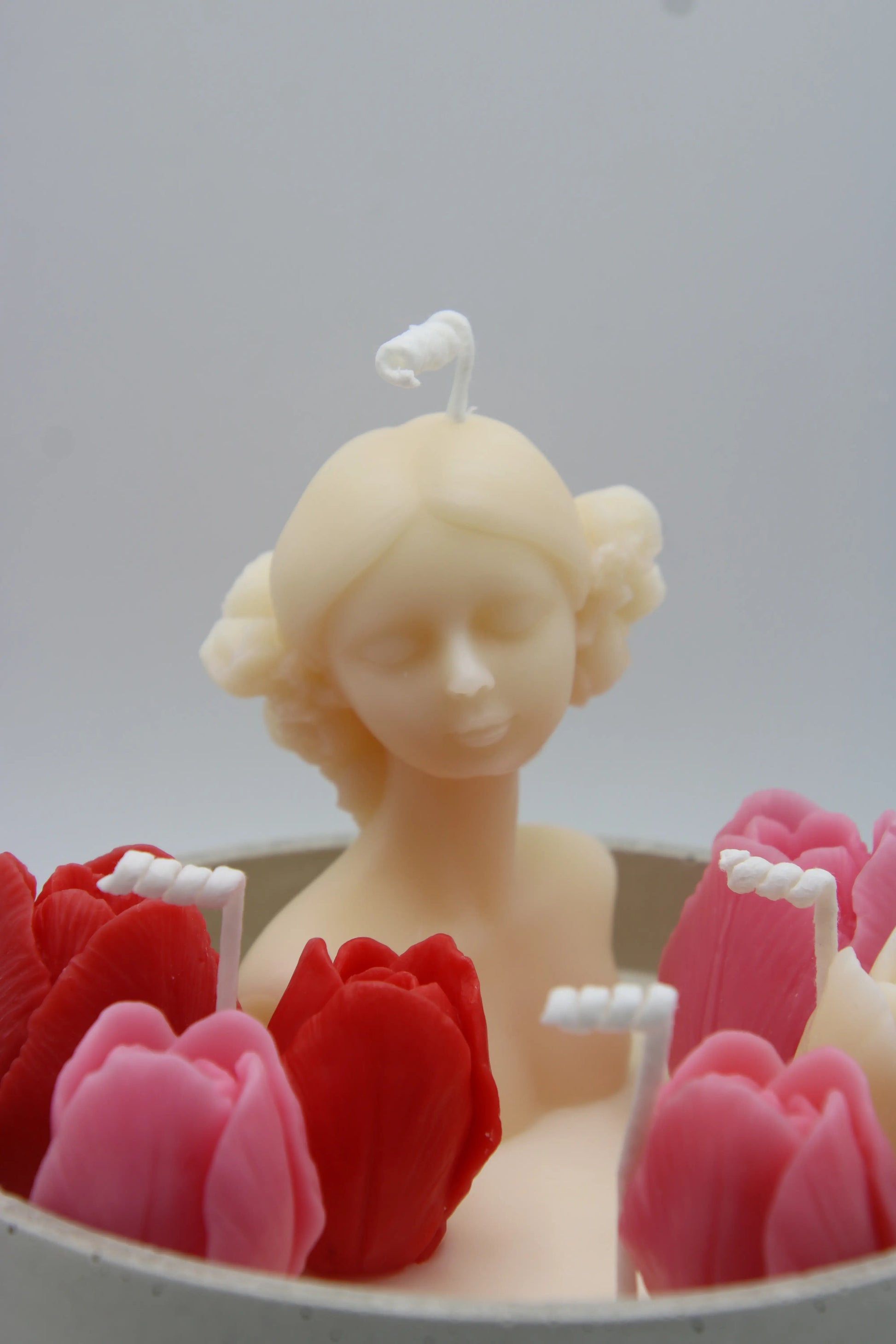 Flowers Princess in the garden Close