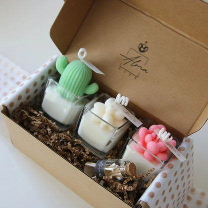 Mini Succulents Trio Gift Box Diagonal