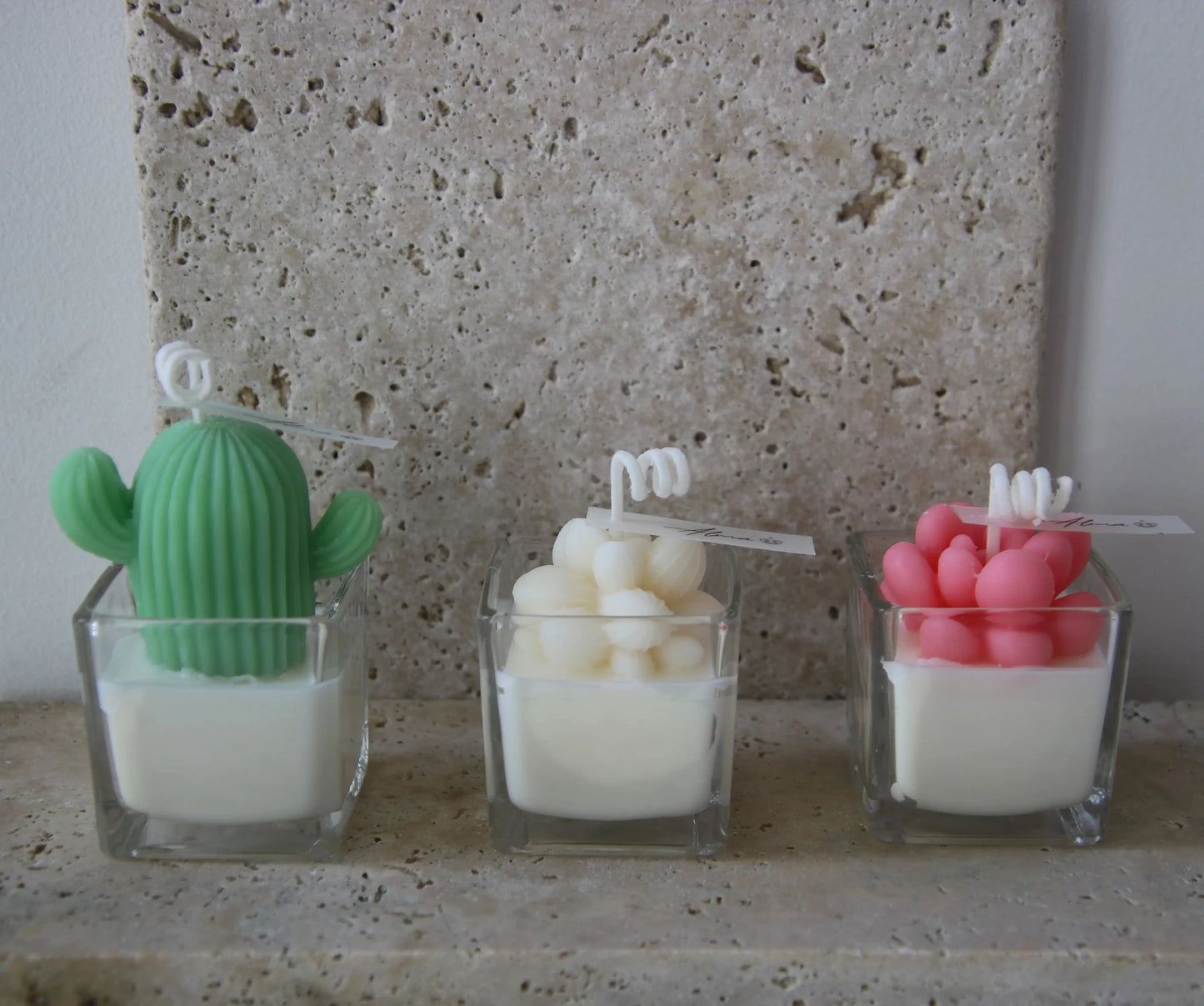 Mini Succulents Trio Gift Box Elements