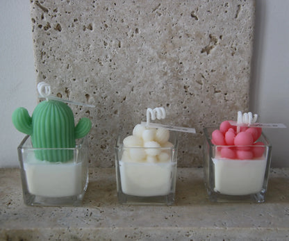 Mini Succulents Trio Gift Box Elements