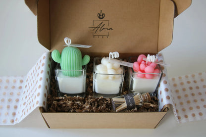 Mini Succulents Trio Gift Box Front