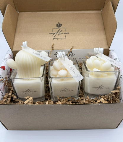 Mini_Succulents_Trio_Gift_Box_Ivory_Elements