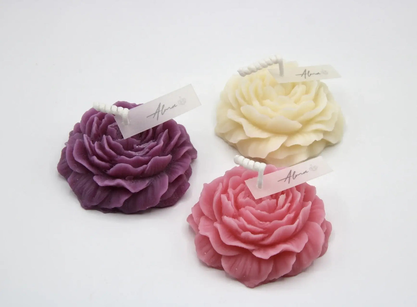 Peonies_3_Colors
