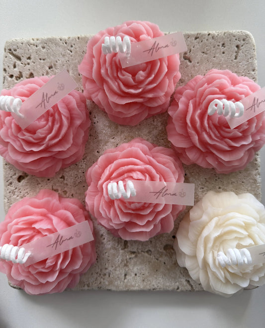 Peonies bulk 1