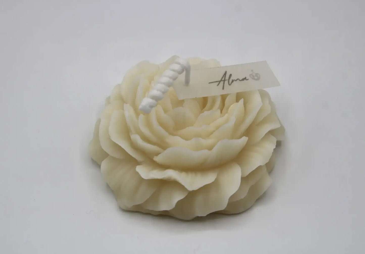 Peony_Ivory