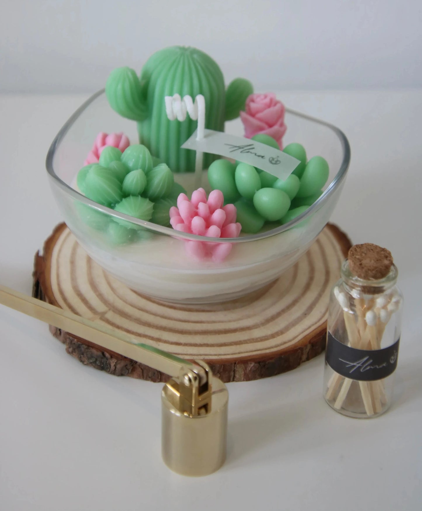 Terrarium Of Succulents Gift Box Elements