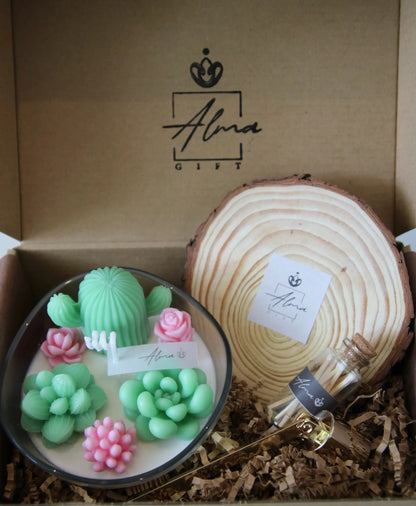Terrarium Of Succulents Gift Box Front