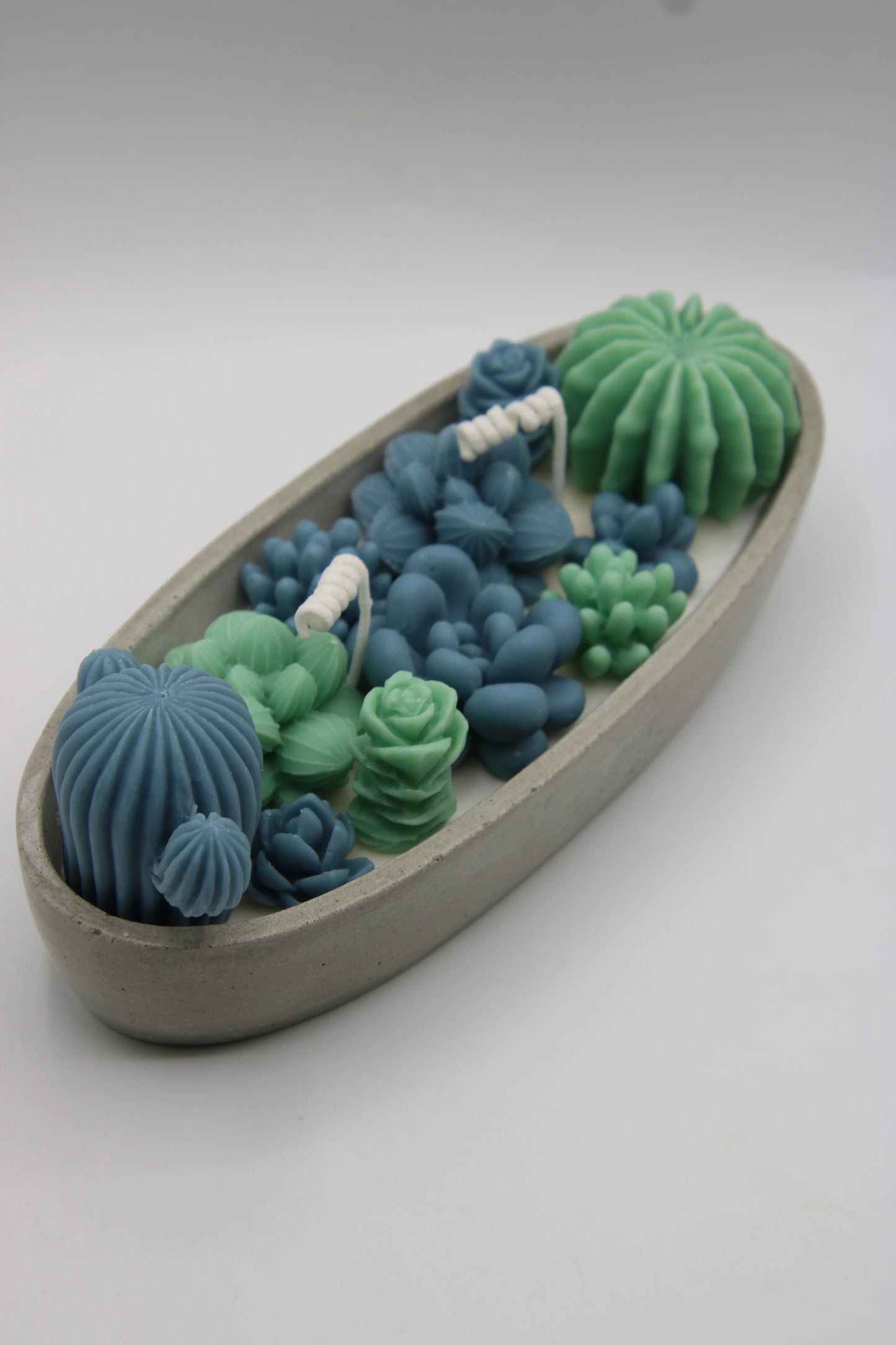 Alma Gift Garden of Succulents blue and green candle set in concrete tray, diagonal view, Miami