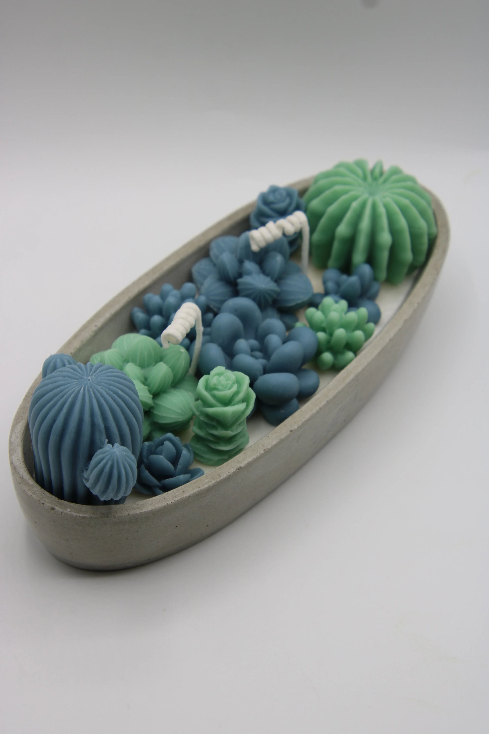 Alma Gift Garden of Succulents blue and green candle set in concrete tray, diagonal view, Miami