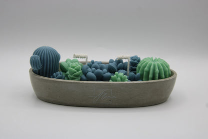 Alma Gift Garden of Succulents blue and green handmade candle set in concrete tray, front view, Miami