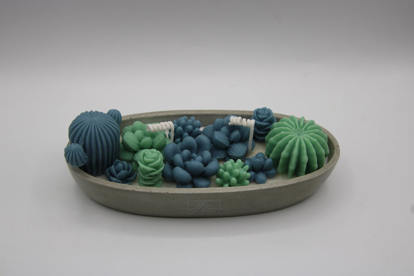 Alma Gift Garden of Succulents blue and green candle set in concrete tray, top view, Miami