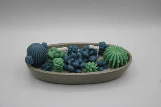 Alma Gift Garden of Succulents blue and green candle set in concrete tray, top view, Miami