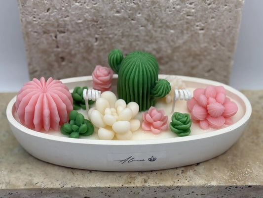 Garden of Succulents – Special Edition